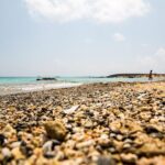 Crete: Elafonisi  4 hours in the beach - Who Should Consider This Tour?