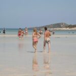Crete: Elafonisi Pink Beach Excursion - Who Would Love This Tour?