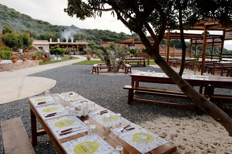 Crete: Road-trip to Lasithi Plateau & Olive Mill Farm - A Detailed Look at the Crete Lasithi Plateau & Olive Mill Farm Tour