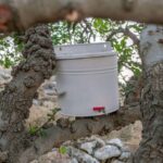 Crete Rodakino: Sleep under the stars - What Makes This Experience Stand Out?