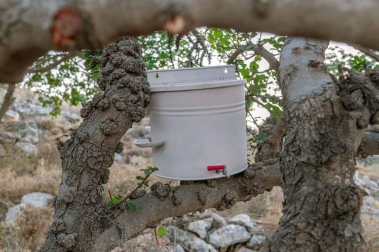 Crete Rodakino: Sleep under the stars - What Makes This Experience Stand Out?