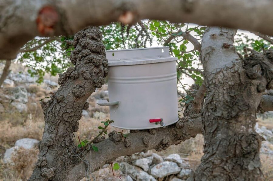 Crete Rodakino: Sleep under the stars - What Makes This Experience Stand Out?