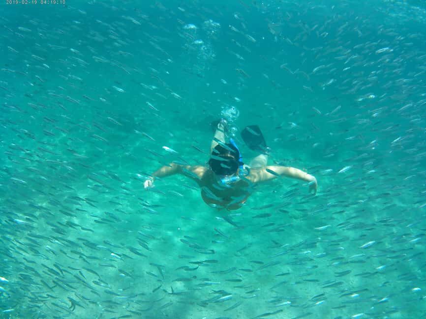 Crete: Snorkel Cretes Hidden Coves by Boat - Who This Tour Is Best For