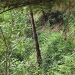 Cross Country - Moutain Bike Tour - FAQs