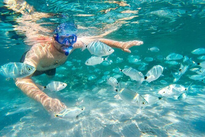 Cruise to Bonifacio and Snorkeling to the Lavezzi Islands - Practical Details and What You Need to Know