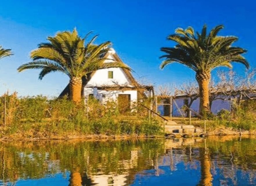 Cullera: History, Beach, and the boat trip to the Albufera - The Experience: What’s Included and What to Consider