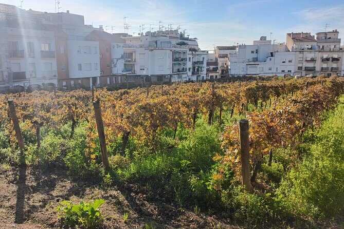 Cultural coastal trip with winery visit from Barcelona - Practical Details and Logistics