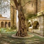 Cultural Route - Braga & Guimarães - from Porto - The Itinerary in Detail