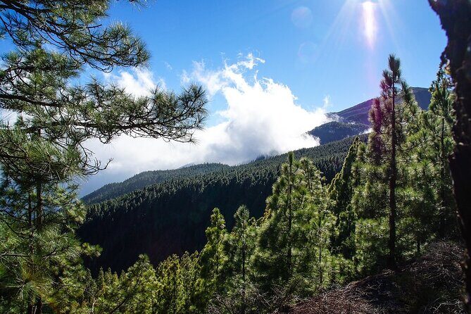 Custom Private Full-Day Tour into the Heart of Tenerife - Who Should Book This Tour?