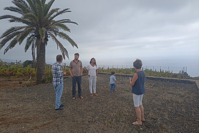 Custom Private Tenerife Full Island Car Tour - FAQ