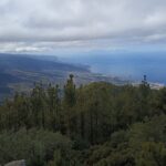 Custom Private Tenerife Volcano Car Tour - Who Would Enjoy This Tour?