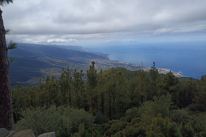 Custom Private Tenerife Volcano Car Tour - Who Would Enjoy This Tour?