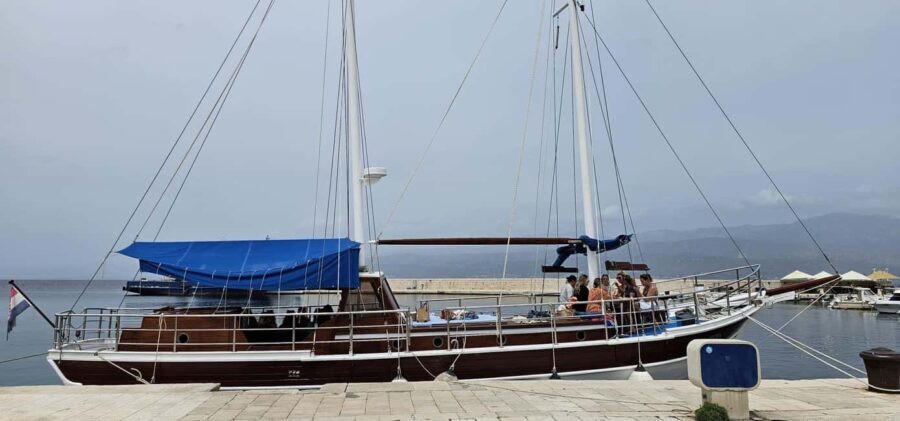 Daily boat trips