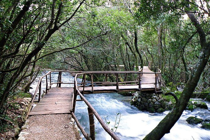 Dawn Nature Walks with a Historical Twist - What Travelers Can Expect