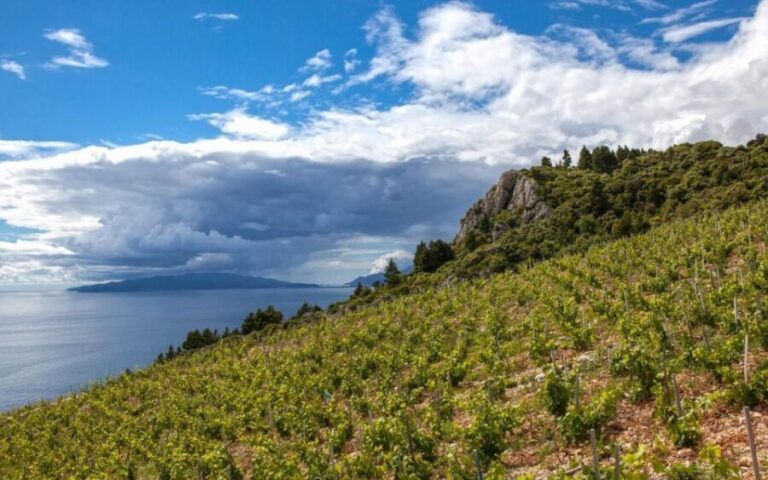 Day Tour from Dubrovnik - Korula and Peljeac Wine Tasting - Transportation and Value