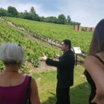 Day tour Tasting at Moët & Chandon and 2 Big Houses in Epernay - Practical Details and What It Means for You