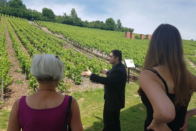 Day tour Tasting at Moët & Chandon and 2 Big Houses in Epernay - Practical Details and What It Means for You