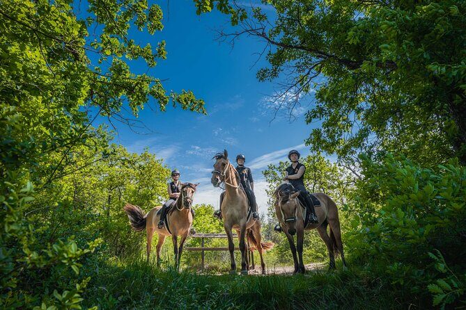 Day Trip to Fontainebleau : Horse Riding, Gastronomy and Castle - Who Should Book This Tour?