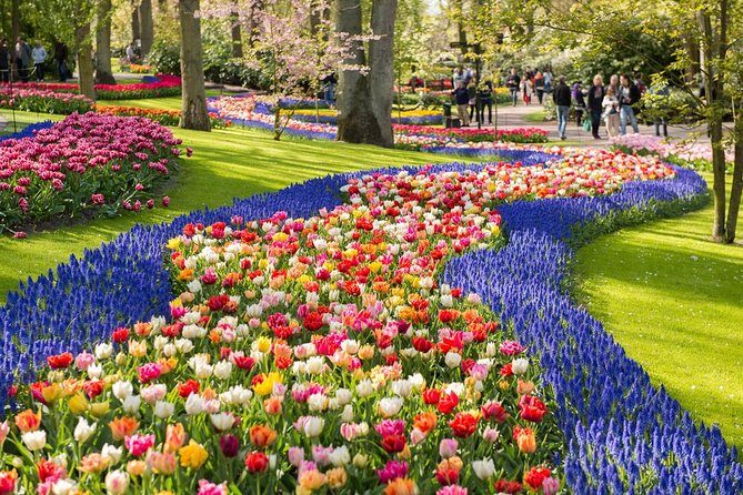 Day Trip to Keukenhof Gardens from Amsterdam with Tour Guide - Who Should Consider This Tour?
