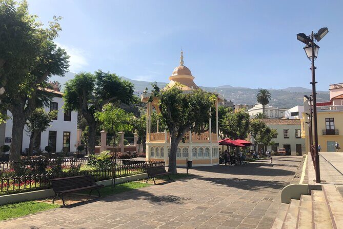 Day trip to the island of Tenerife - The Sum Up: Who Should Consider This Tour?