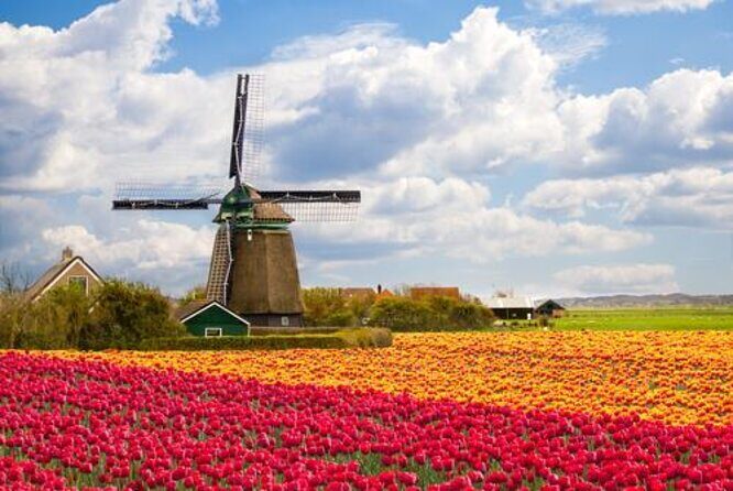 Day Trip to Zaanse Schans, Edam, Volendam and Marken from Amsterdam - Exploring the Dutch Countryside: An In-Depth Review