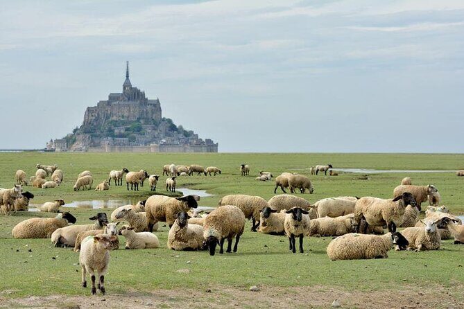 Day Trip with a local driver Mont Saint-Michel from Saint-Malo - 6 hours - FAQ