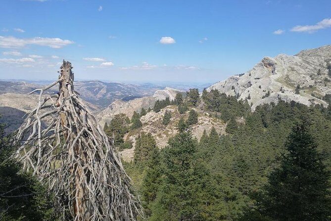 Dayhikes with pick-up from Marbella and Estepona - The Sum Up: Is This Tour Right for You?