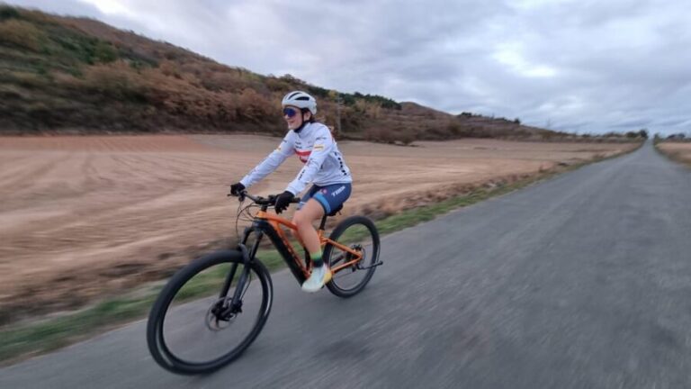 Delivery Bike Rental and Guided Tours in La Rioja - Why Travelers Love This Experience