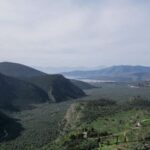 Delphi: Easy Hike on Ancient Path through the Olive Groves - Who Will Love This Tour?