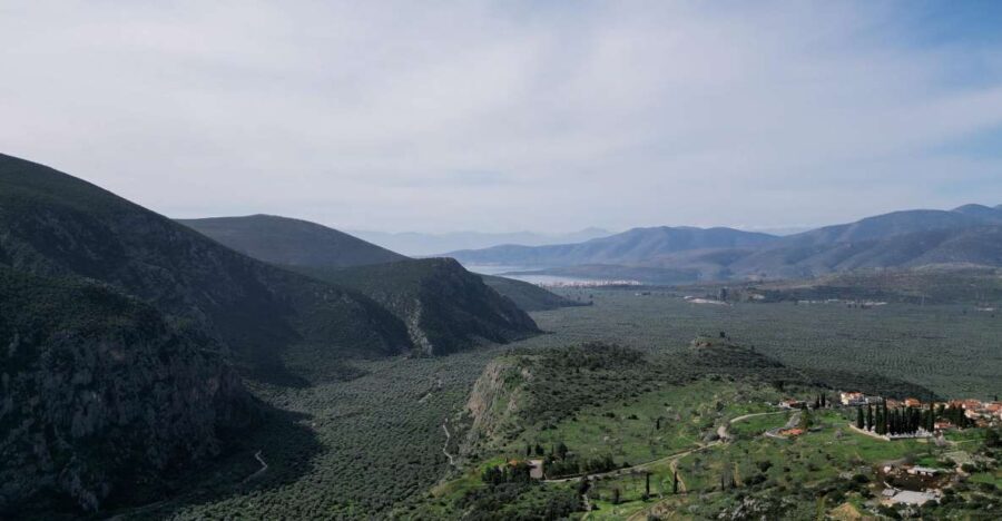 Delphi: Easy Hike on Ancient Path through the Olive Groves - Who Will Love This Tour?