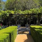Denia and Mediterranean Gardens Day Trip - The Practicalities: What You Can Expect