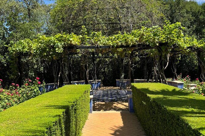 Denia and Mediterranean Gardens Day Trip - The Practicalities: What You Can Expect