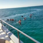 Denia: Cova Tallada Catamaran Tour and Swimming Stop - Who Is This Tour Best For?
