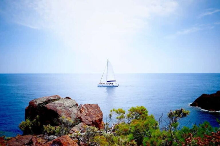 Denia/Jávea: a day at sea with paella on Isla Portitxol - A Detailed Look at the Experience