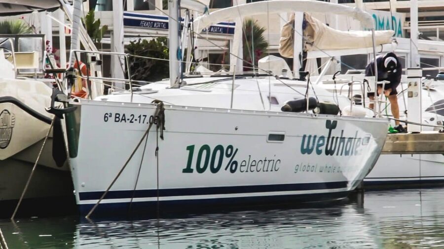 Denia: Sunset Electric Sailboat Cruise with Dolphin Spotting - What the Experience Looks Like