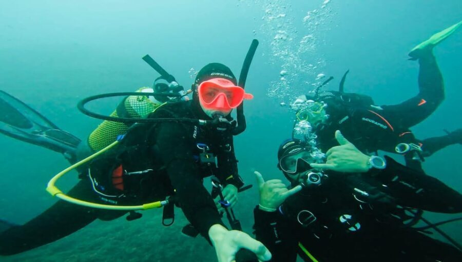 Denia: The fascination of diving on the Costa Blanca - Who Is This Tour Best Suited For?
