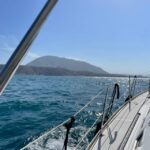 Denia: Whale and Dolphin Watching Morning Experience - The Itinerary and Marine Encounters