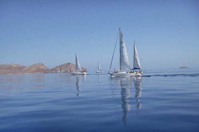 Dia island : Small Group Sailing Trip to Dia Island with Lunch - Authentic Insights from Travelers’ Reviews