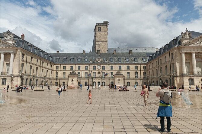 Dijon private guided tour with a professional tour guide ! - Who Should Consider This Tour?