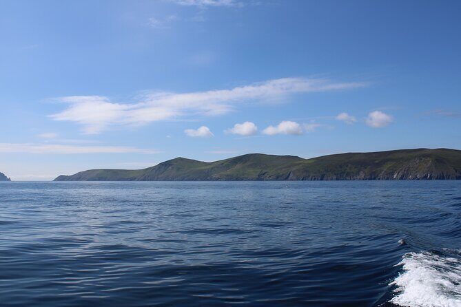 Dingle Dolphin Blasket Adventures - FAQs