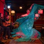 Dinner and Show flamenco in the Albayzin Granada - The Sum Up: Who Is This Tour Best For?