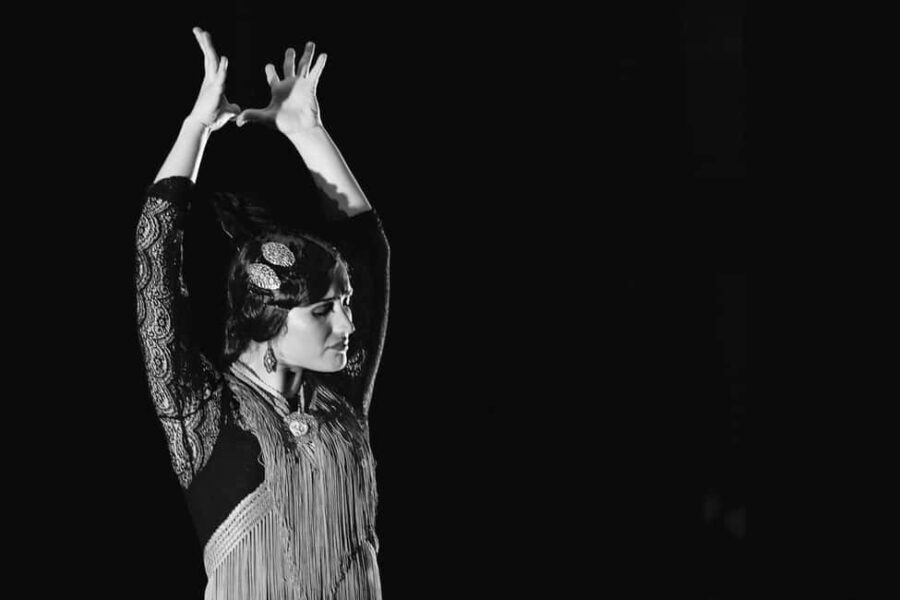 Dinner and UNESCO-protected flamenco show, in a private van from Alicante - What Travelers Are Saying