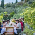Dinner in the Vineyard French Riviera - Who Will Love This Tour?
