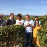 Discover Champagne in half a day in a Van - What Travelers Say & Why They Love It