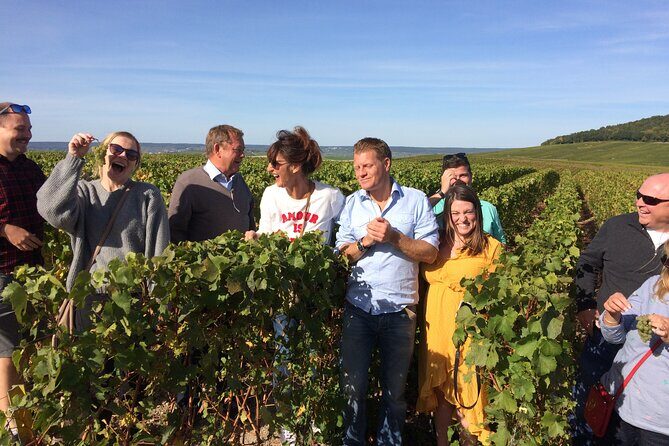 Discover Champagne in half a day in a Van - What Travelers Say & Why They Love It