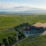 Discover La Rioja: Guided Winery Tour & Wine Tasting - A Closer Look at the Experience