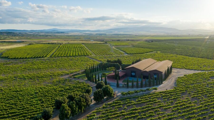 Discover La Rioja: Guided Winery Tour & Wine Tasting - A Closer Look at the Experience