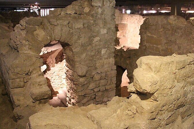 Discover Notre Dames Crypt with an Archeologist + River Cruise - Analyzing the Value