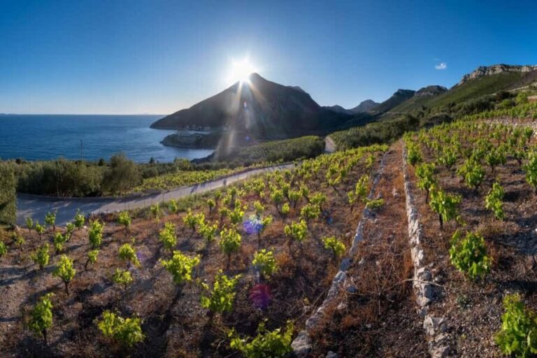 Discover Peljeac Peninsula - A Wine Tour in Small Groups - The Itinerary in Detail