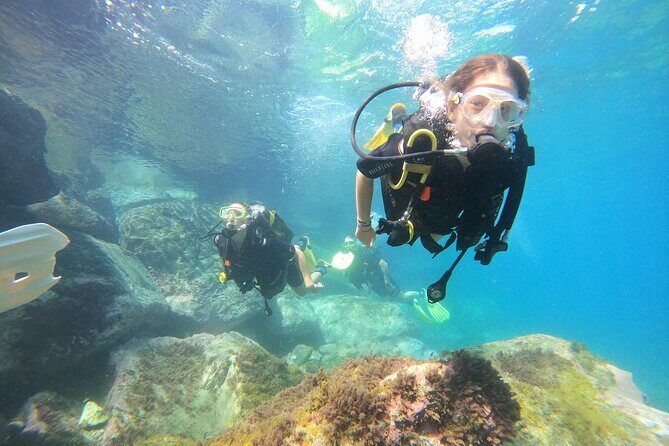 Discover Scuba Dive in Gran Canaria - Practical Details and What to Expect